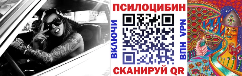 Галлюциногенные грибы MAGIC MUSHROOMS  Купить где  Ставрополь 